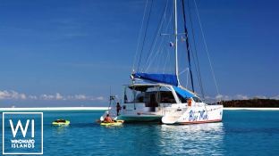 BLUE MAKI  Robertson & Caines Leopard  47 Exterior 1