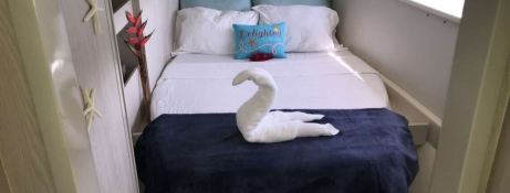 SOMEWHERE HOT  Robertson & Caines Leopard  Power 514 Interior 14