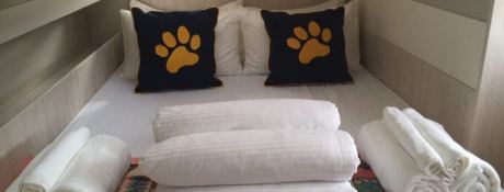 SANYATI  Robertson & Caines Leopard  Power 514 Interior 19