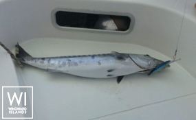 NIKITA  Fountaine Pajot Bahia 46 Interior 11