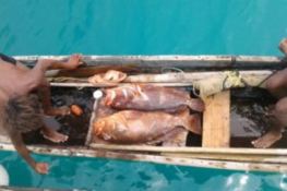 NIKITA  Fountaine Pajot Bahia 46 Exterior 6