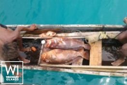 NIKITA  Fountaine Pajot Bahia 46 Exterior 6