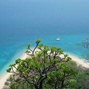 Sweetest Taboo  Lagoon Catamaran Lagoon 470 Exterior 4