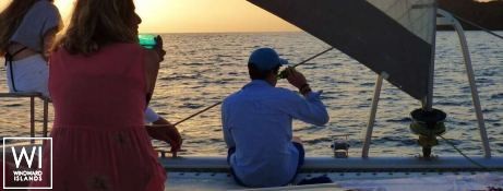 Groovy  Robertson & Caines Leopard  444 Exterior 9