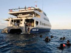 Aqua Cat   Power Cat 31M Exterior 2