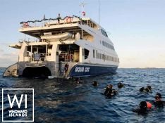 Aqua Cat   Power Cat 31M Exterior 2