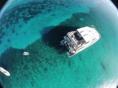 Aqua Cat   Power Cat 31M Exterior 3