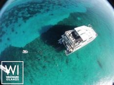 Aqua Cat   Power Cat 31M Exterior 3