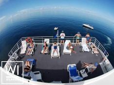 Aqua Cat   Power Cat 31M Interior 6