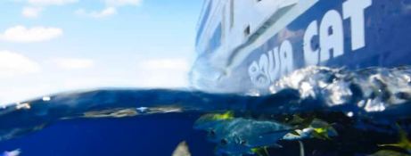 Aqua Cat   Power Cat 31M Exterior 5