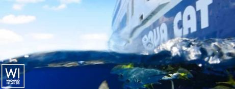 Aqua Cat   Power Cat 31M Exterior 5