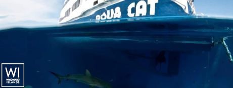 Aqua Cat   Power Cat 31M Exterior 7