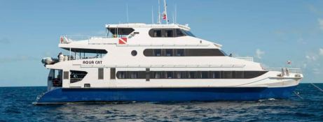 Aqua Cat   Power Cat 31M Exterior 16