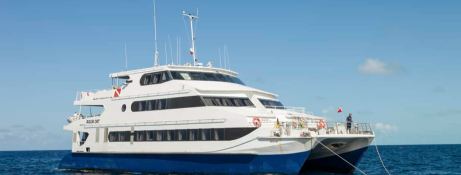 Aqua Cat   Power Cat 31M Exterior 17