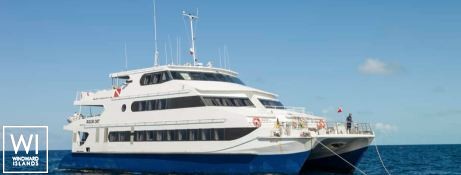 Aqua Cat   Power Cat 31M Exterior 17