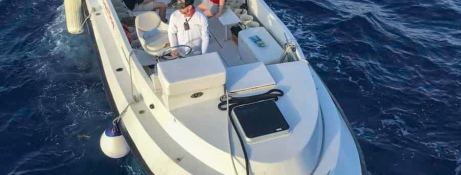Aqua Cat   Power Cat 31M Exterior 21