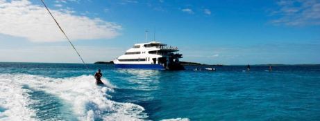 Aqua Cat   Power Cat 31M Exterior 24
