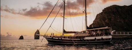 Gelidonya II  Turkish Gulet Gulet ADC 26M Exterior 6