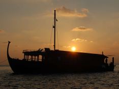 DHONI STELLA   Dhoni 23M Exterior 5