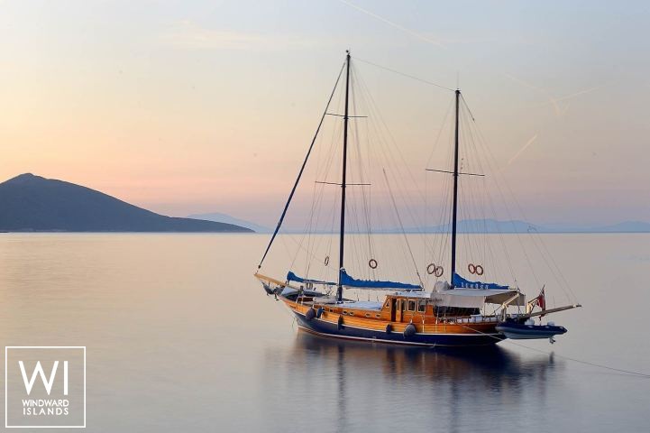 
																Xenos II																 1