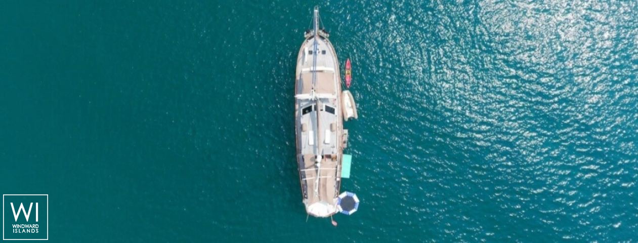 
																Lady Lorraine																 5