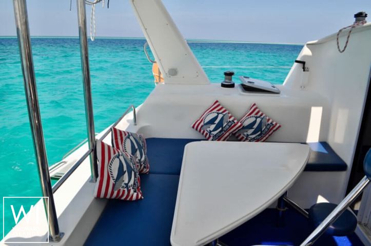 
																KINGFISH																 2