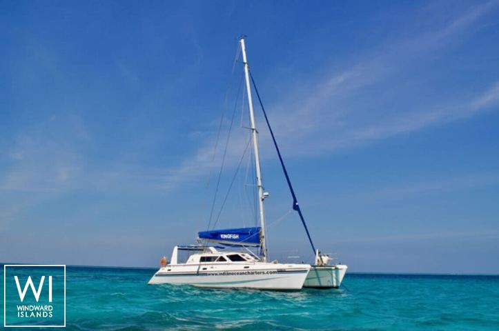 
																KINGFISH																 1