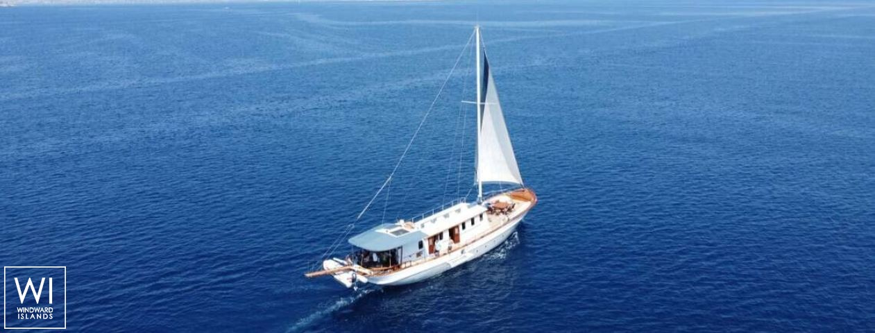 
																COSMOS																 1