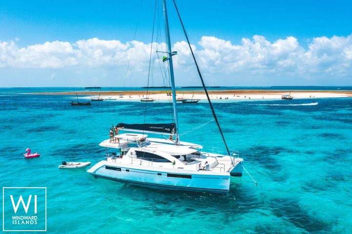 
																Black Swan																 0