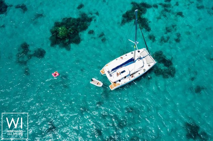 
																Black Swan																 6