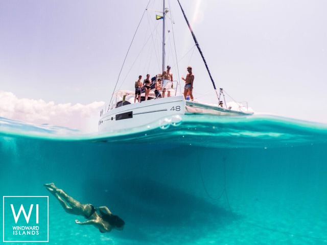 
																Black Swan																 3