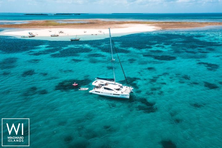 
																Black Swan																 2