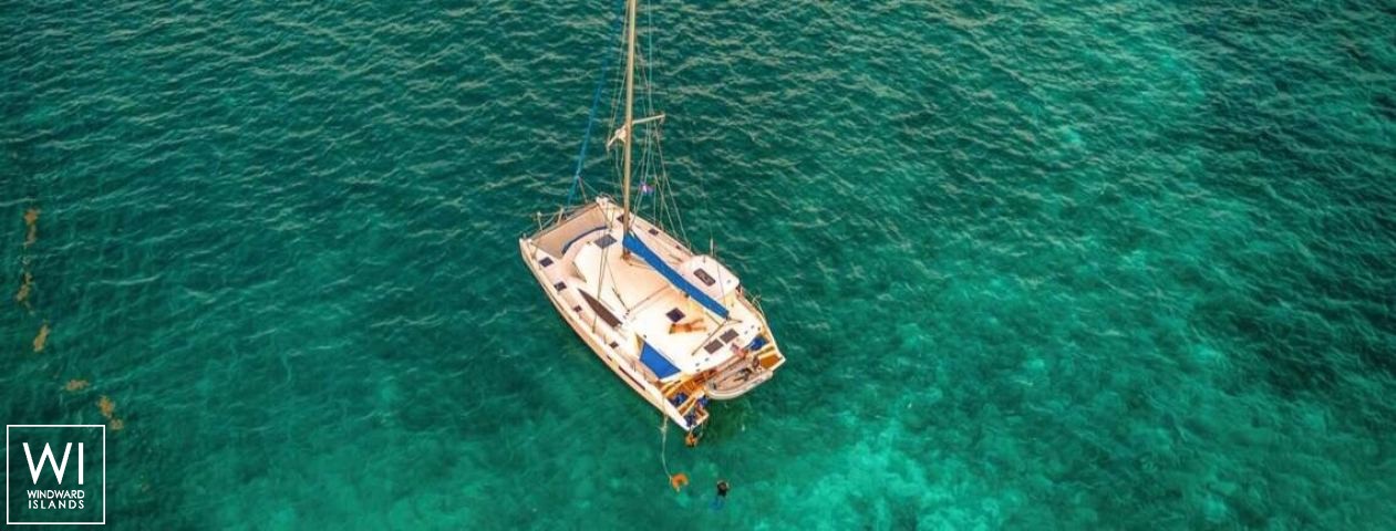 
																Second Star																 6