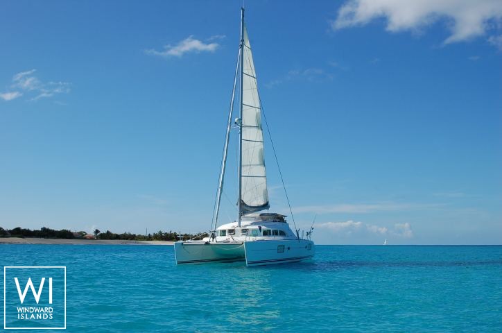 
																Shadock 																 2