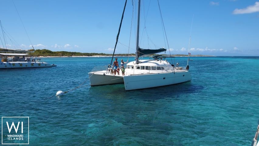 
																Shadock 																 4