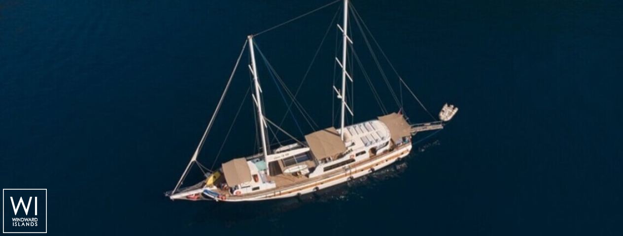 
																Queen of RTT																 2