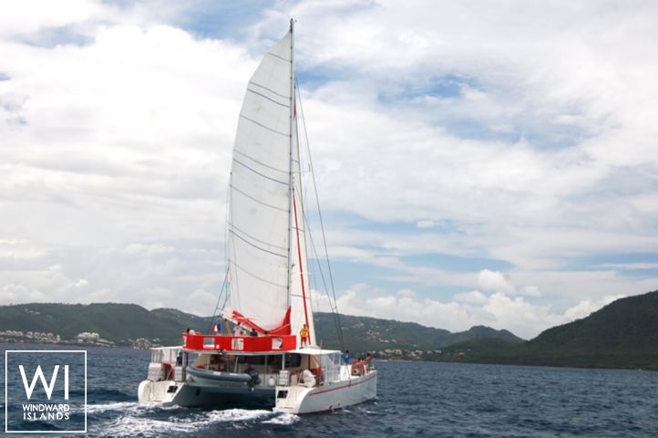 
																Dream 82																 1