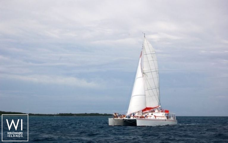 
																Dream 82																 2