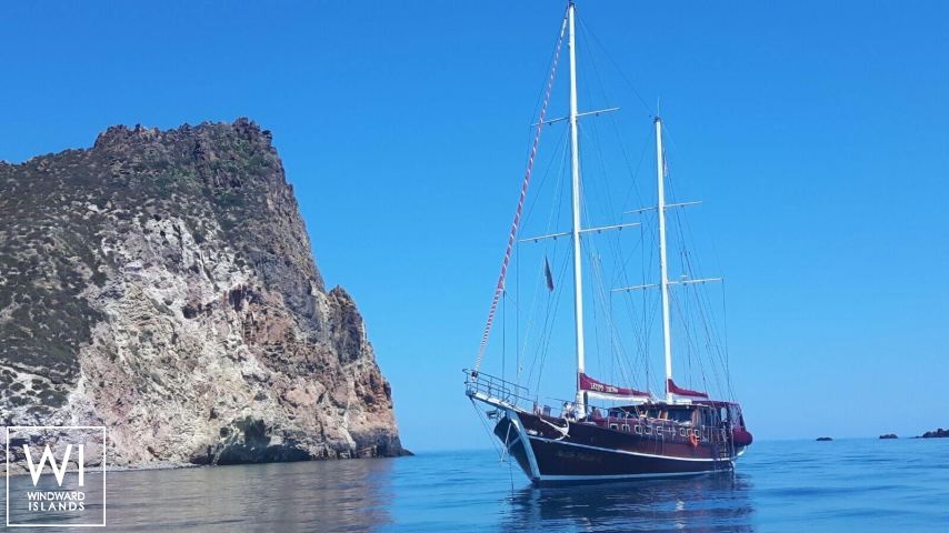 
																LATIFE SULTAN																 5