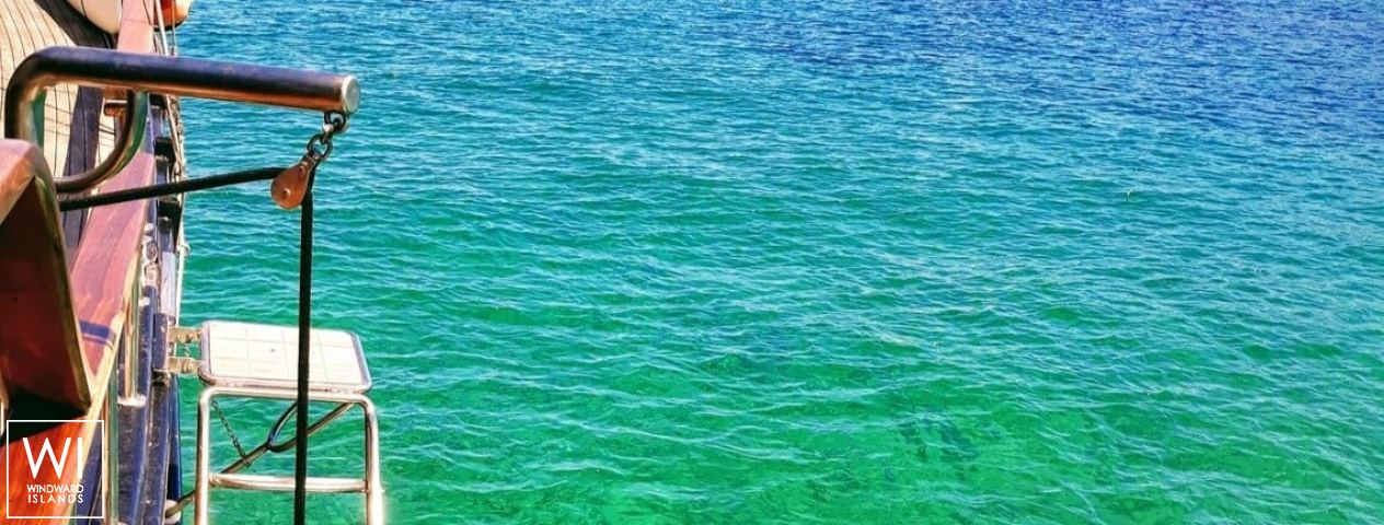 
																Black Marlin																 4