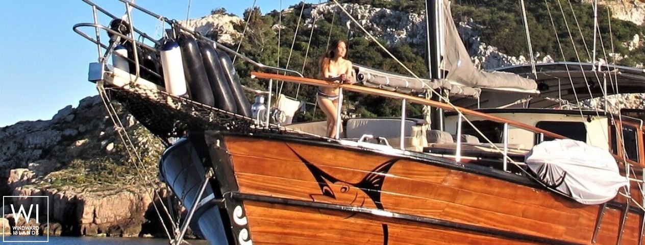 
																Black Marlin																 2