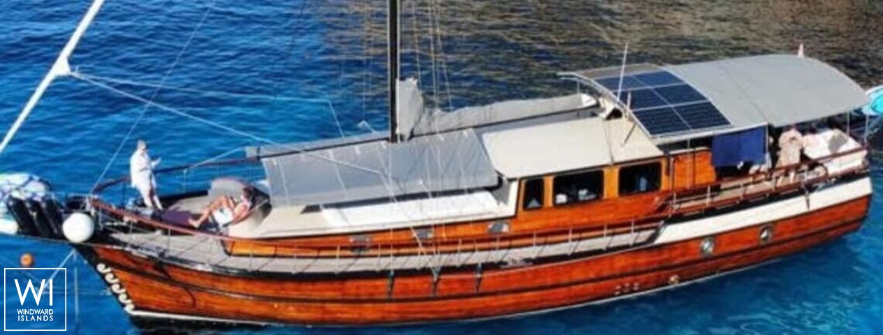 
																Black Marlin																 1