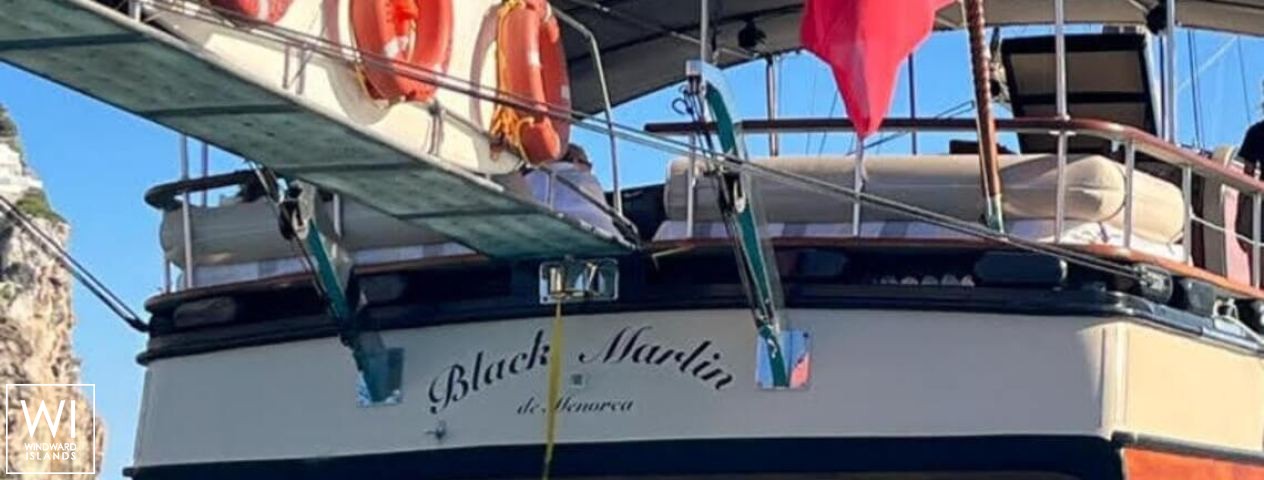 
																Black Marlin																 3