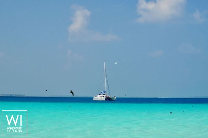 
																SAILFISH																 4