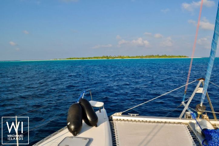 
																SAILFISH																 6