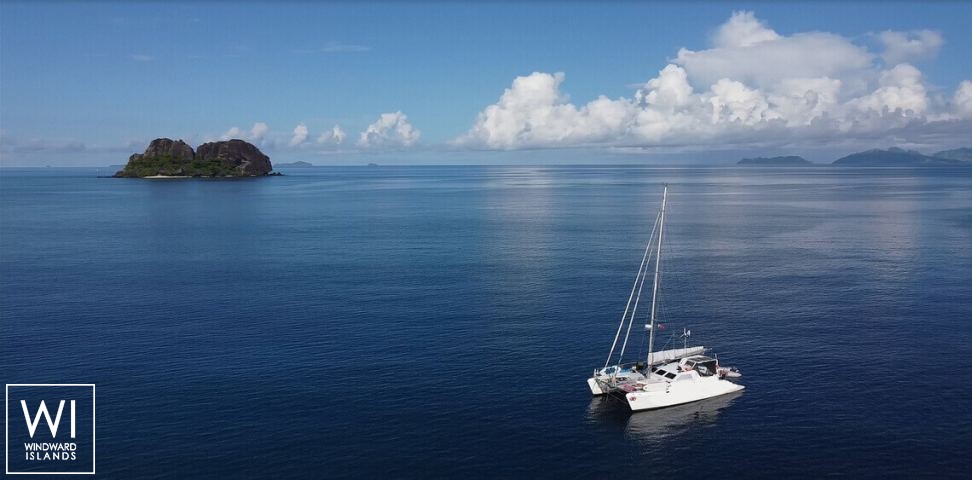 
																XXX																 3