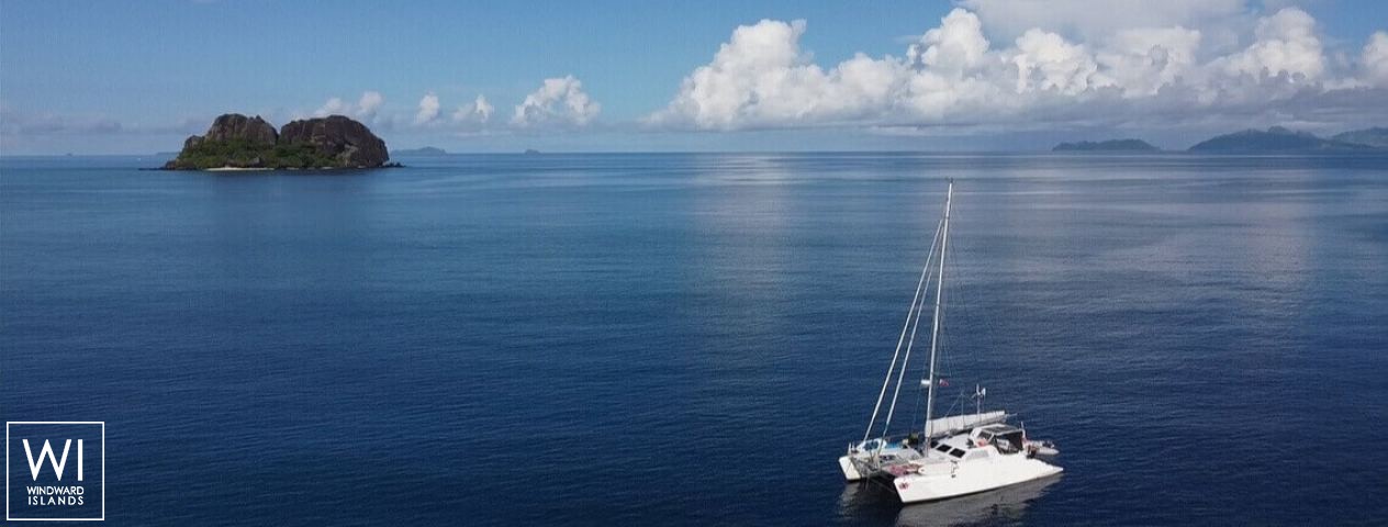 
																XXX																 2