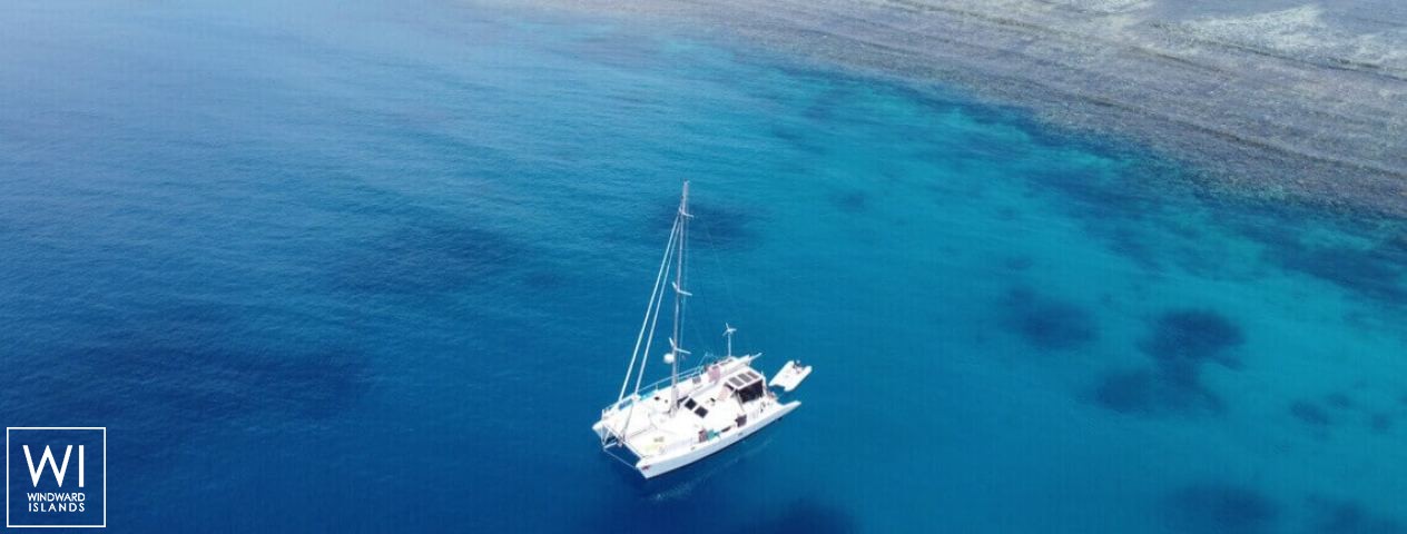 
																XXX																 4