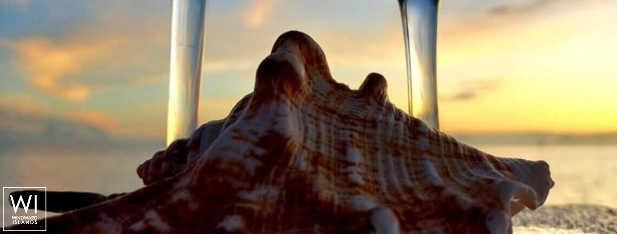 
																XXX																 6