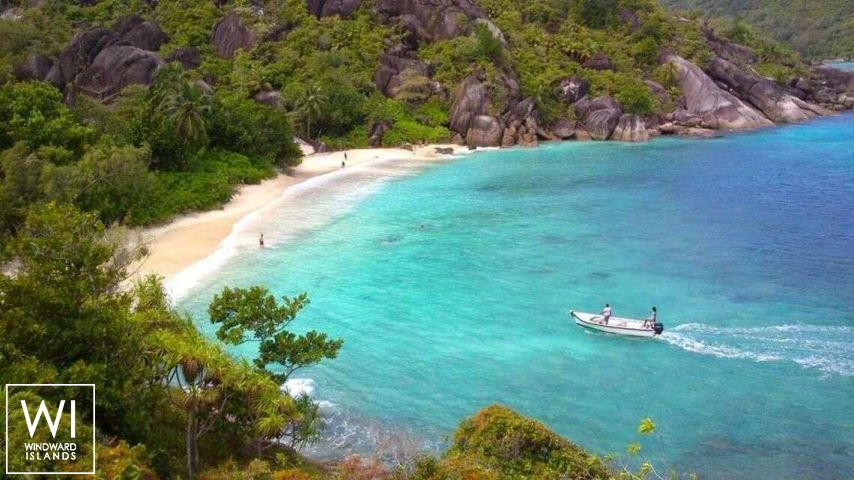 
																Sea Star																 5